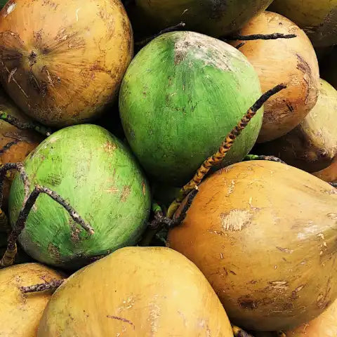 biologische kokosnoten voor kokosolie